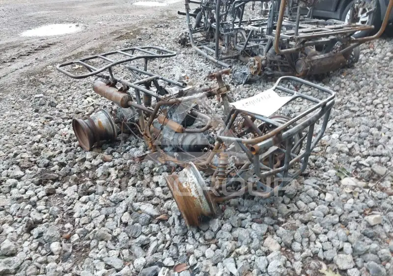 2002 Honda TRX250 photo