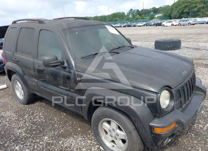 2002 Jeep LIBERTY фото