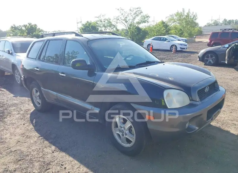 2003 Hyundai Santa Fe фото