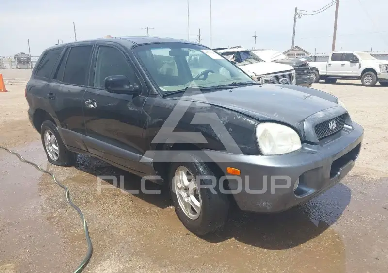 2003 Hyundai Santa Fe фото