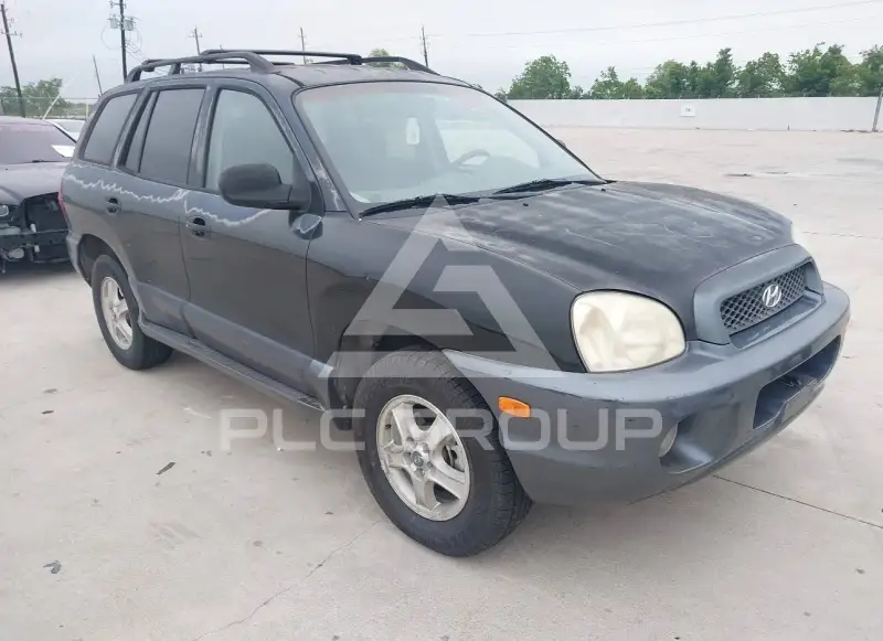 2003 Hyundai Santa Fe фото