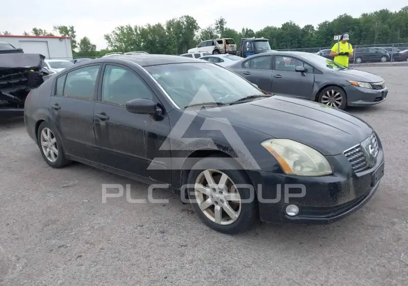 2004 Nissan MAXIMA photo