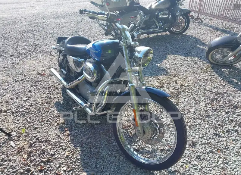 2004 Harley-Davidson XL883 photo