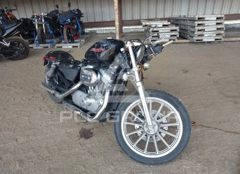 2004 Harley-Davidson XL883 фото