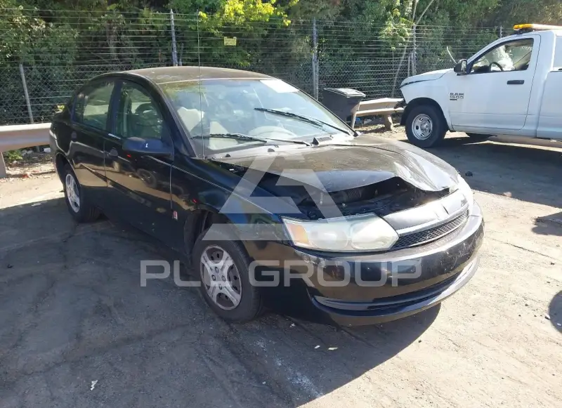 2004 Saturn Ion photo