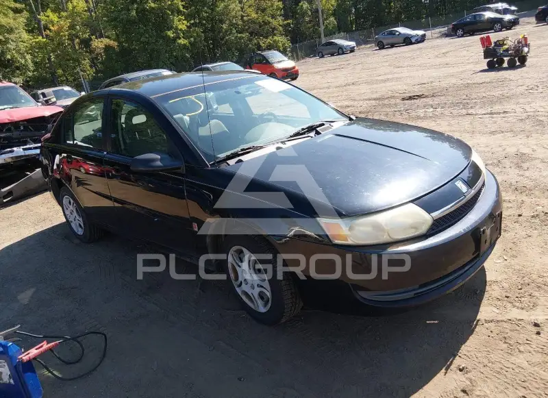 2004 Saturn Ion фото