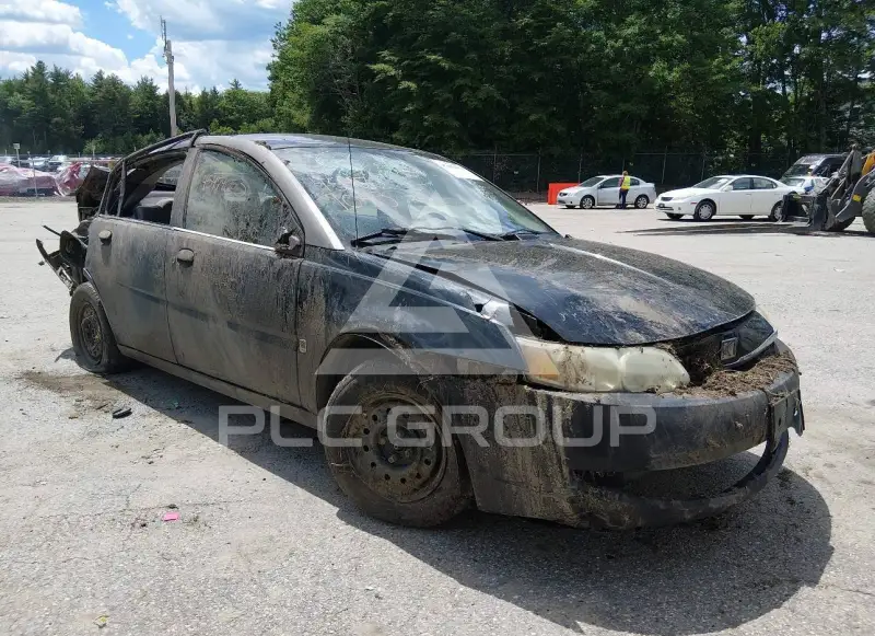 2004 Saturn Ion фото