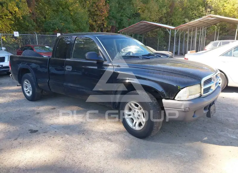 2004 Dodge DAKOTA photo
