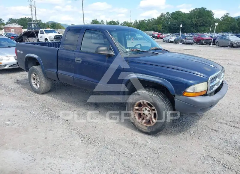 2004 Dodge DAKOTA photo