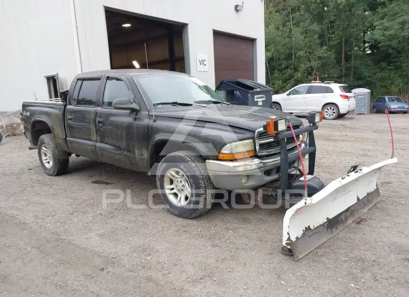 2004 Dodge DAKOTA photo