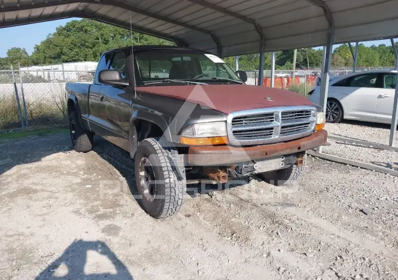 2004 Dodge DAKOTA photo