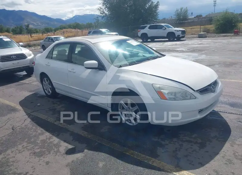 2004 Honda Accord photo