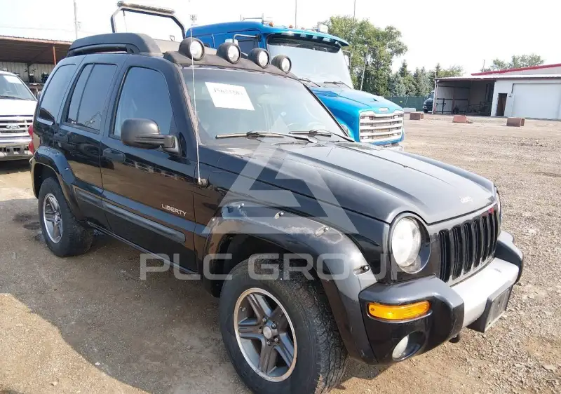 2004 Jeep LIBERTY фото