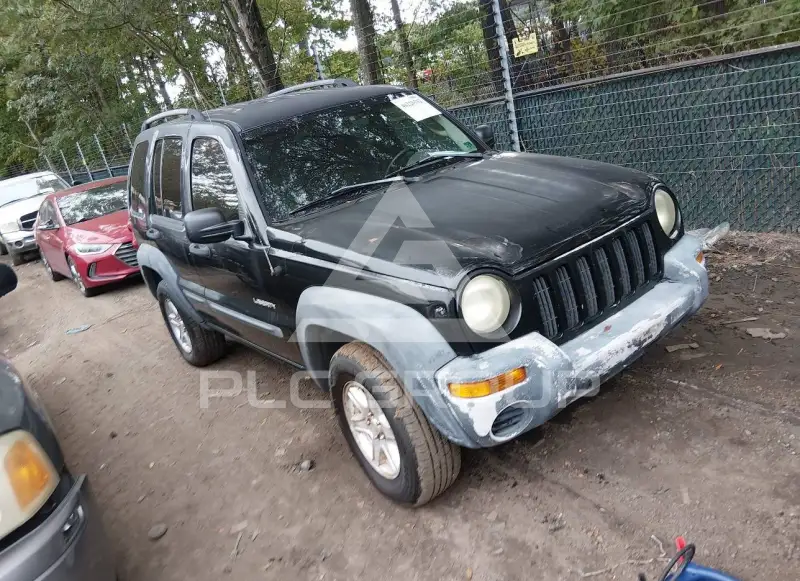 2004 Jeep LIBERTY фото