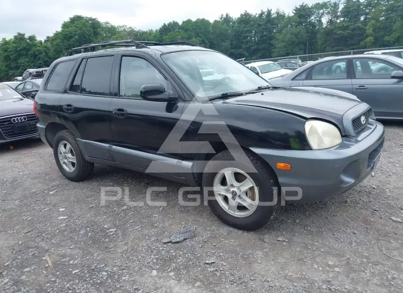 2004 Hyundai Santa Fe photo