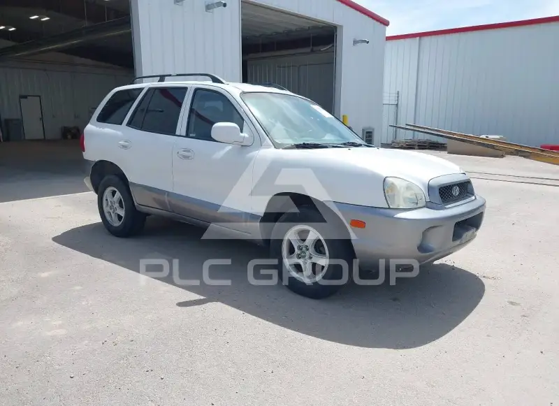 2004 Hyundai Santa Fe фото