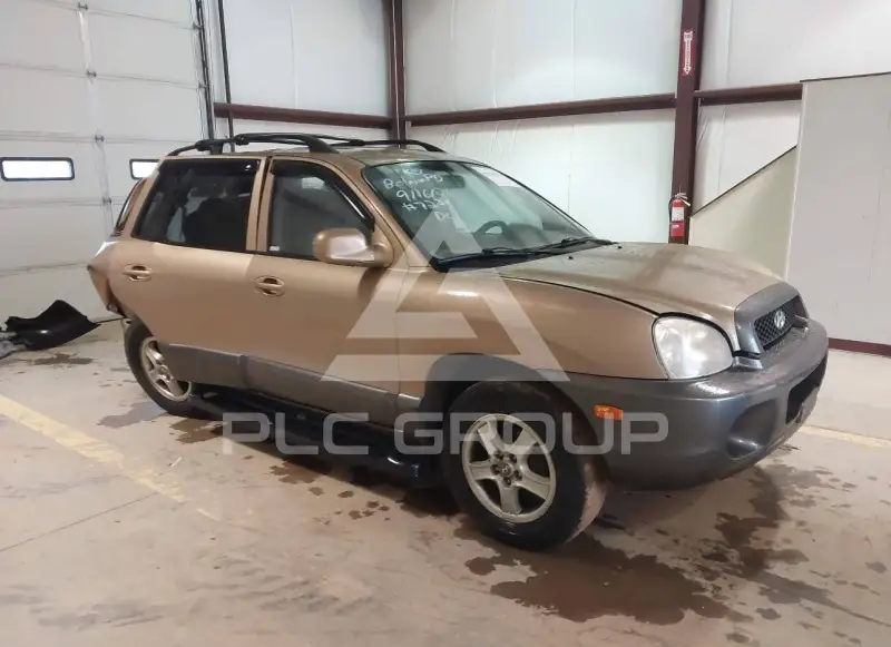 2004 Hyundai Santa Fe фото