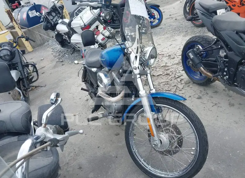 2005 Harley-Davidson XL883 photo