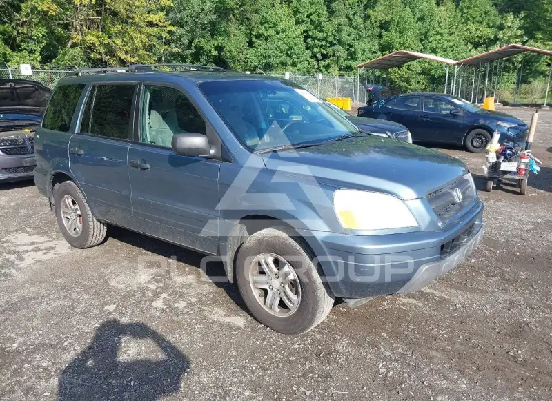 2005 Honda PILOT photo