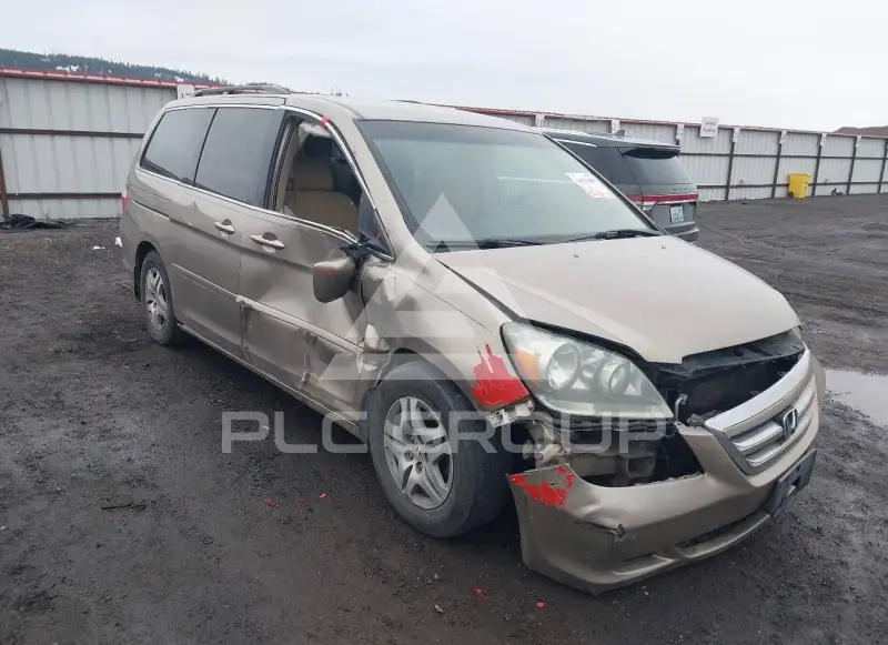 2005 Honda ODYSSEY фото
