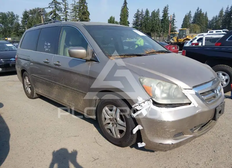 2005 Honda ODYSSEY фото