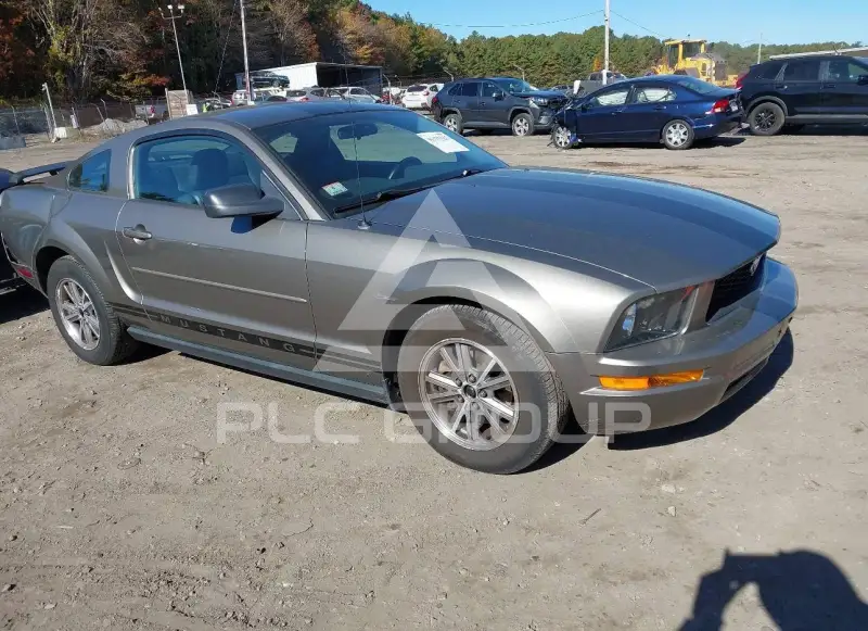 2005 Ford MUSTANG фото