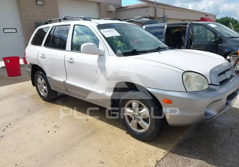 2005 Hyundai Santa Fe photo