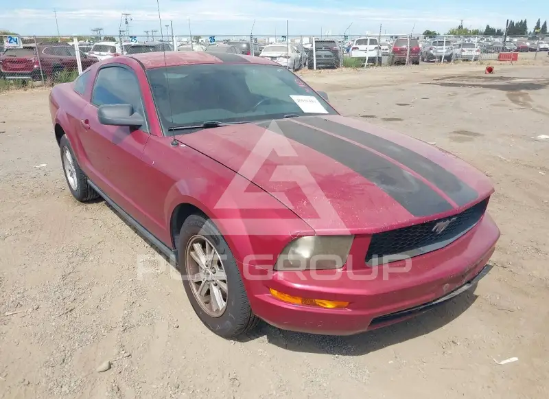 2006 Ford MUSTANG фото