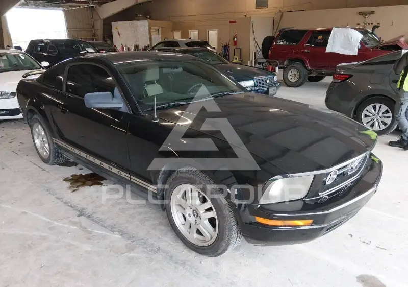 2006 Ford MUSTANG фото