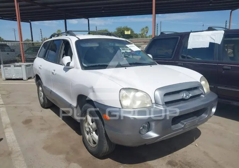2006 Hyundai Santa Fe photo