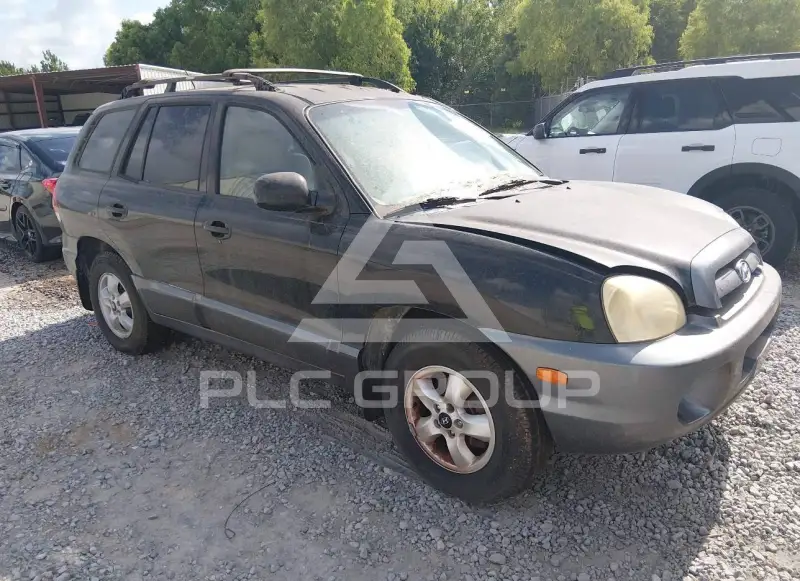 2006 Hyundai Santa Fe photo