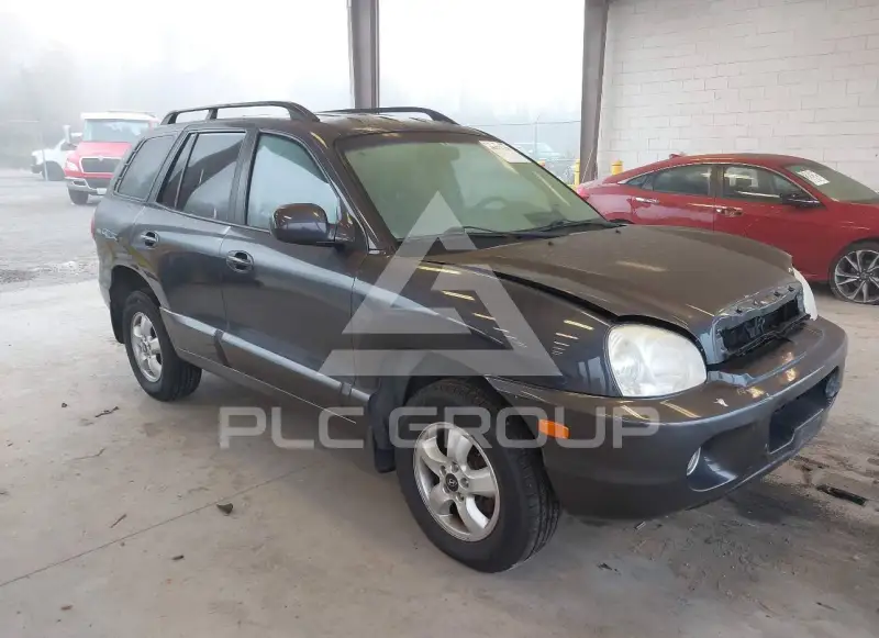 2006 Hyundai Santa Fe фото