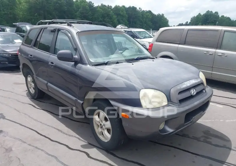 2006 Hyundai Santa Fe photo