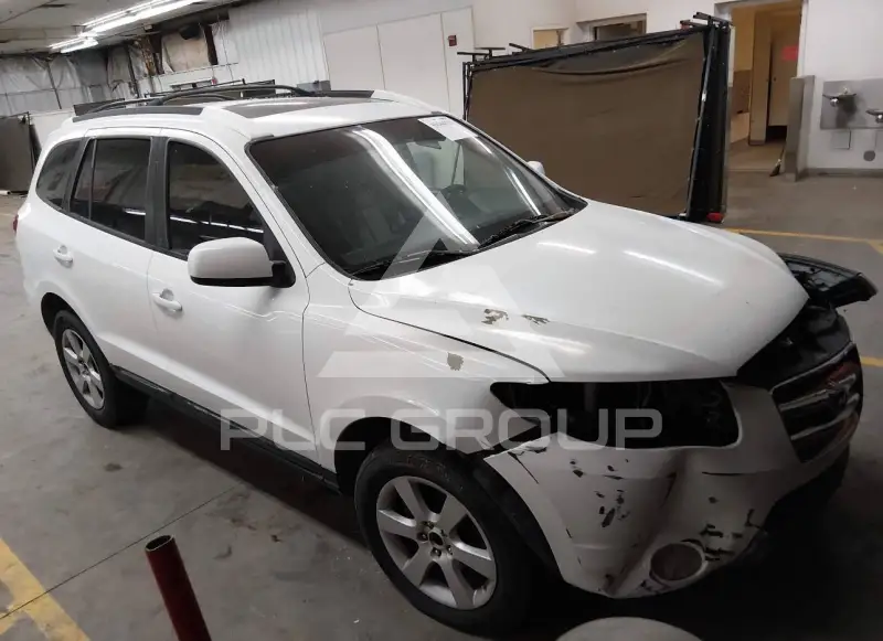 2007 Hyundai Santa Fe фото