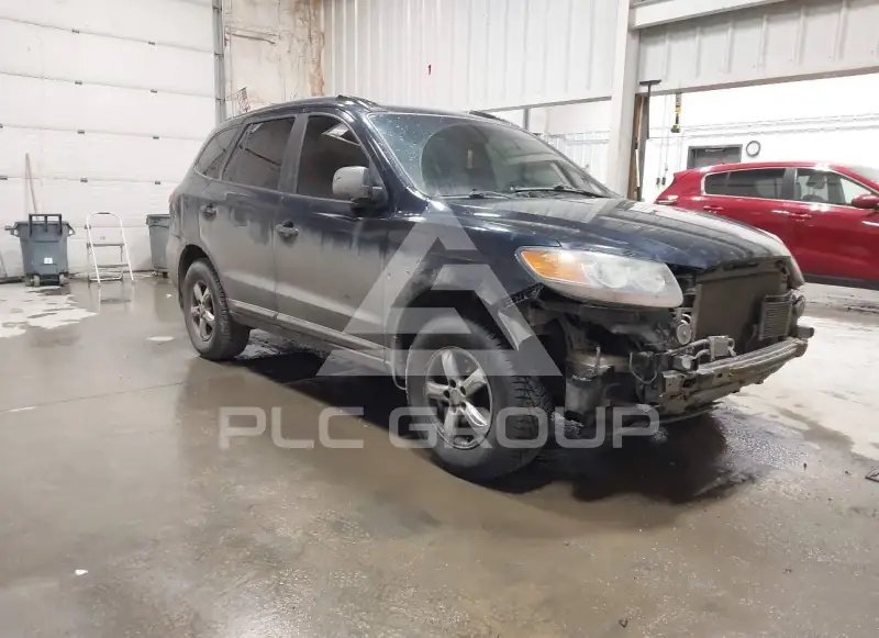 2007 Hyundai Santa Fe фото