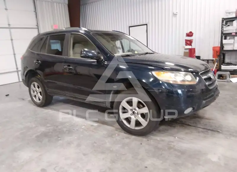 2007 Hyundai Santa Fe фото