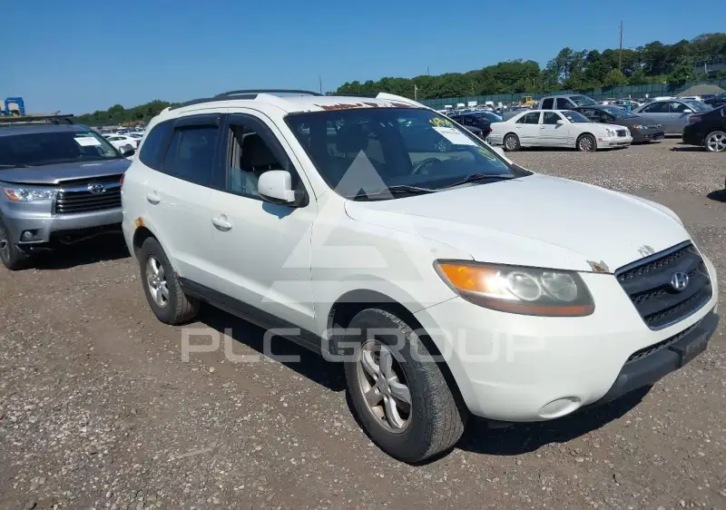 2007 Hyundai Santa Fe фото