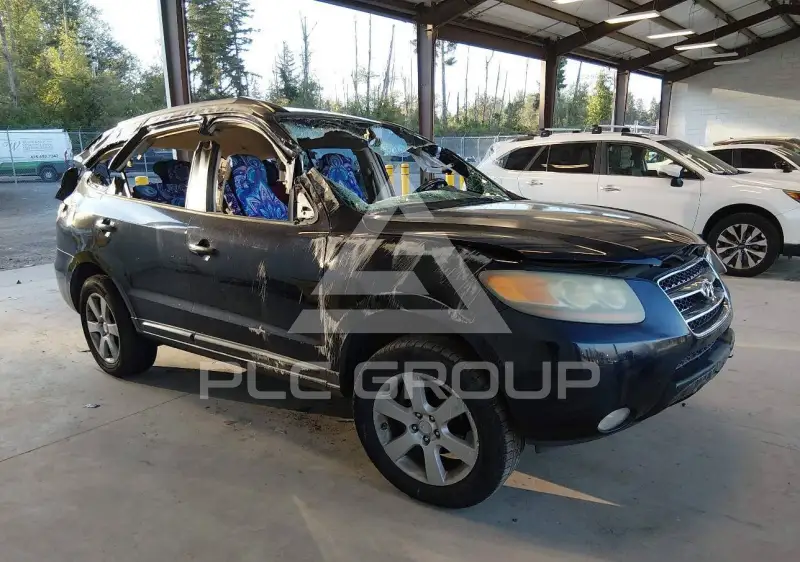 2007 Hyundai Santa Fe фото