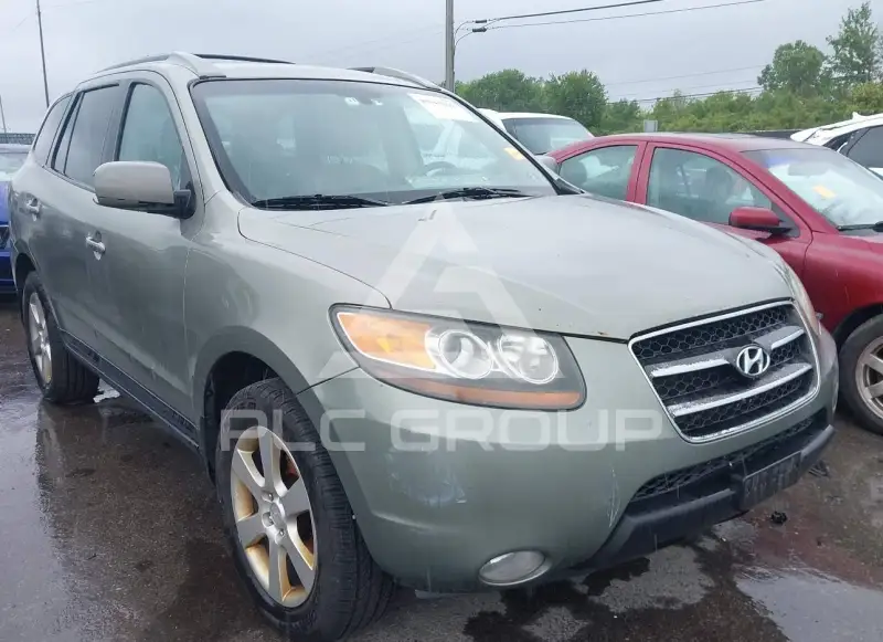 2007 Hyundai Santa Fe фото