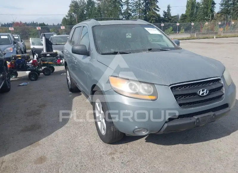2007 Hyundai Santa Fe фото