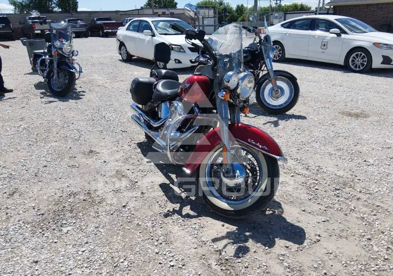 2008 Harley-Davidson FLSTN фото