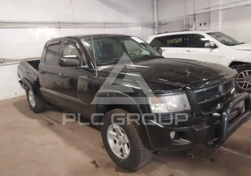 2008 Dodge DAKOTA photo