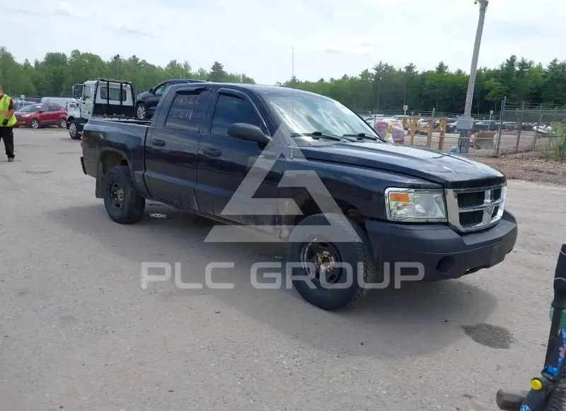 2008 Dodge DAKOTA photo