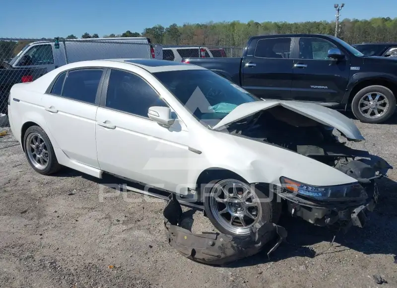 2008 Acura TL photo