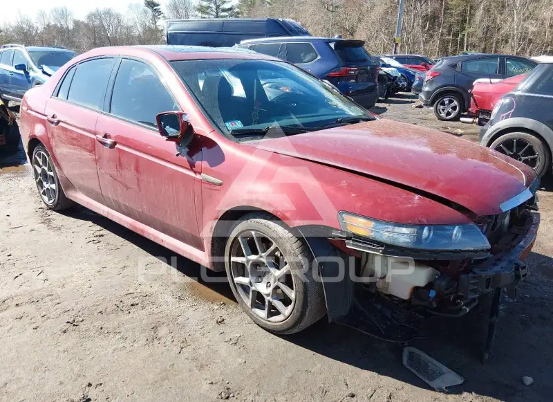 2008 Acura TL фото