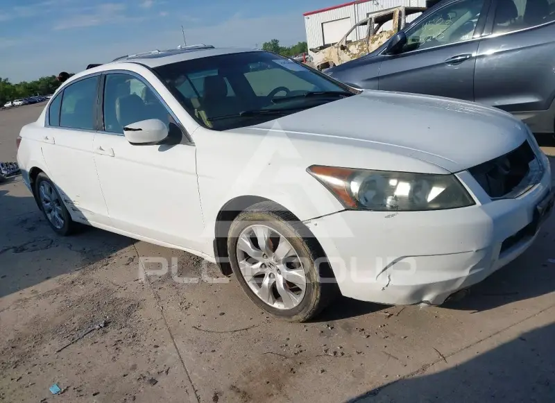 2008 Honda Accord фото