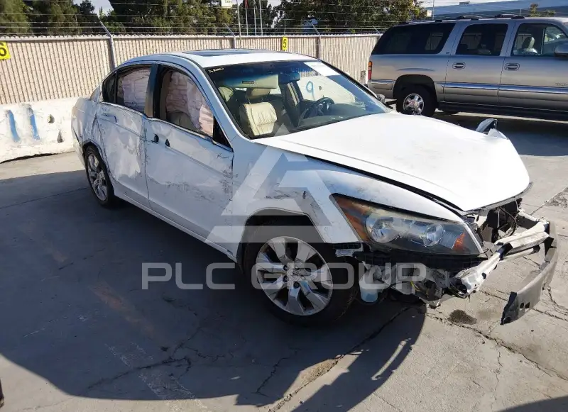 2008 Honda Accord фото