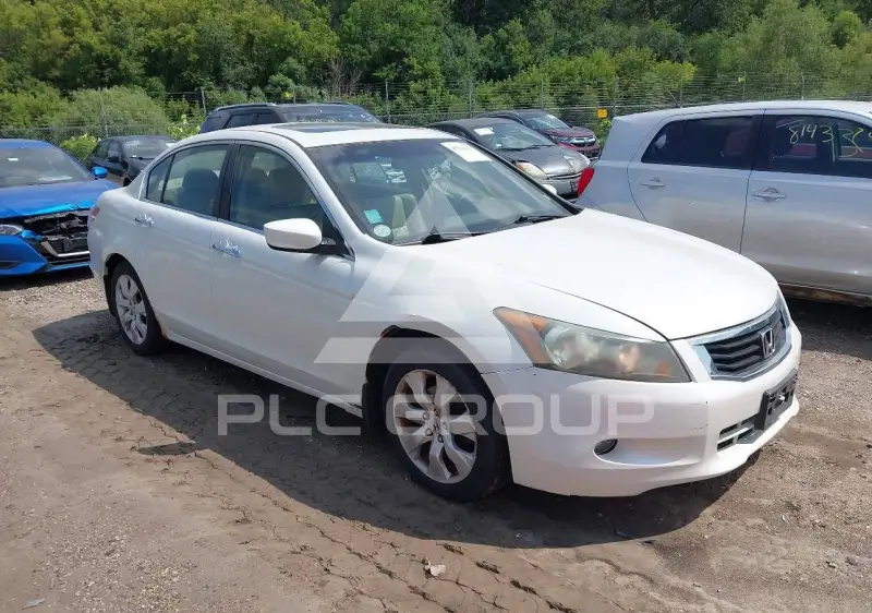 2008 Honda Accord фото