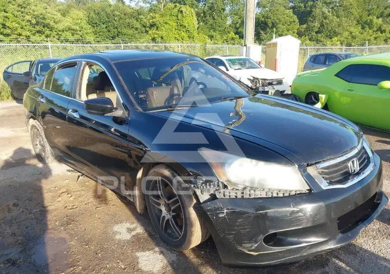 2008 Honda Accord photo