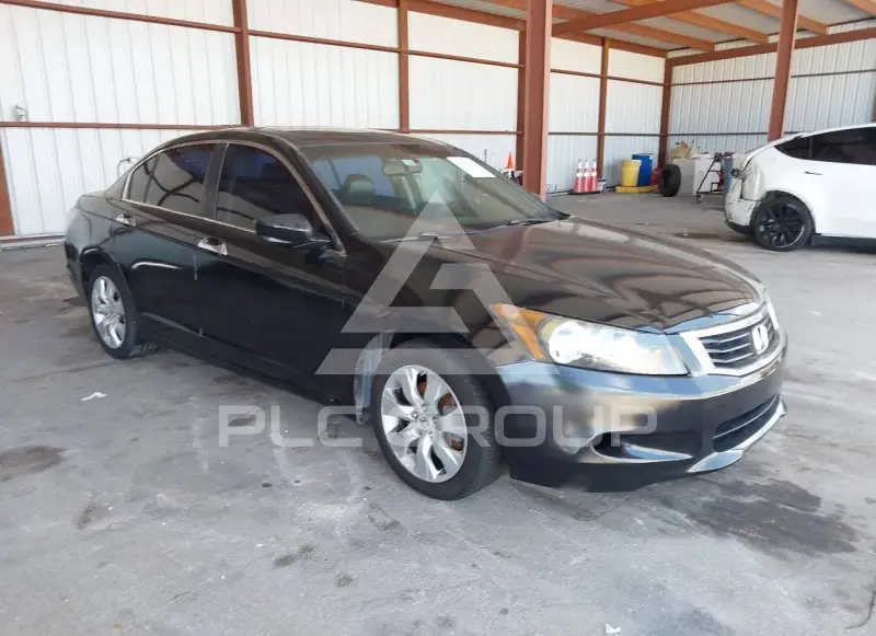 2008 Honda Accord фото